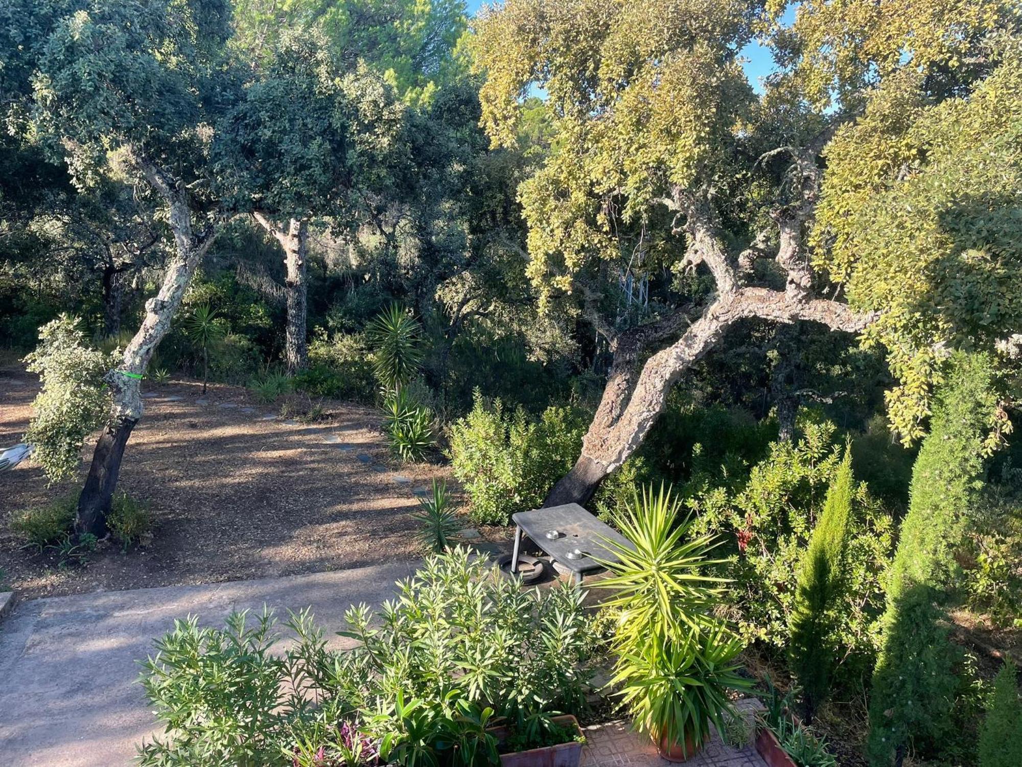 コルドバ Casa San Francisco De Asisヴィラ エクステリア 写真