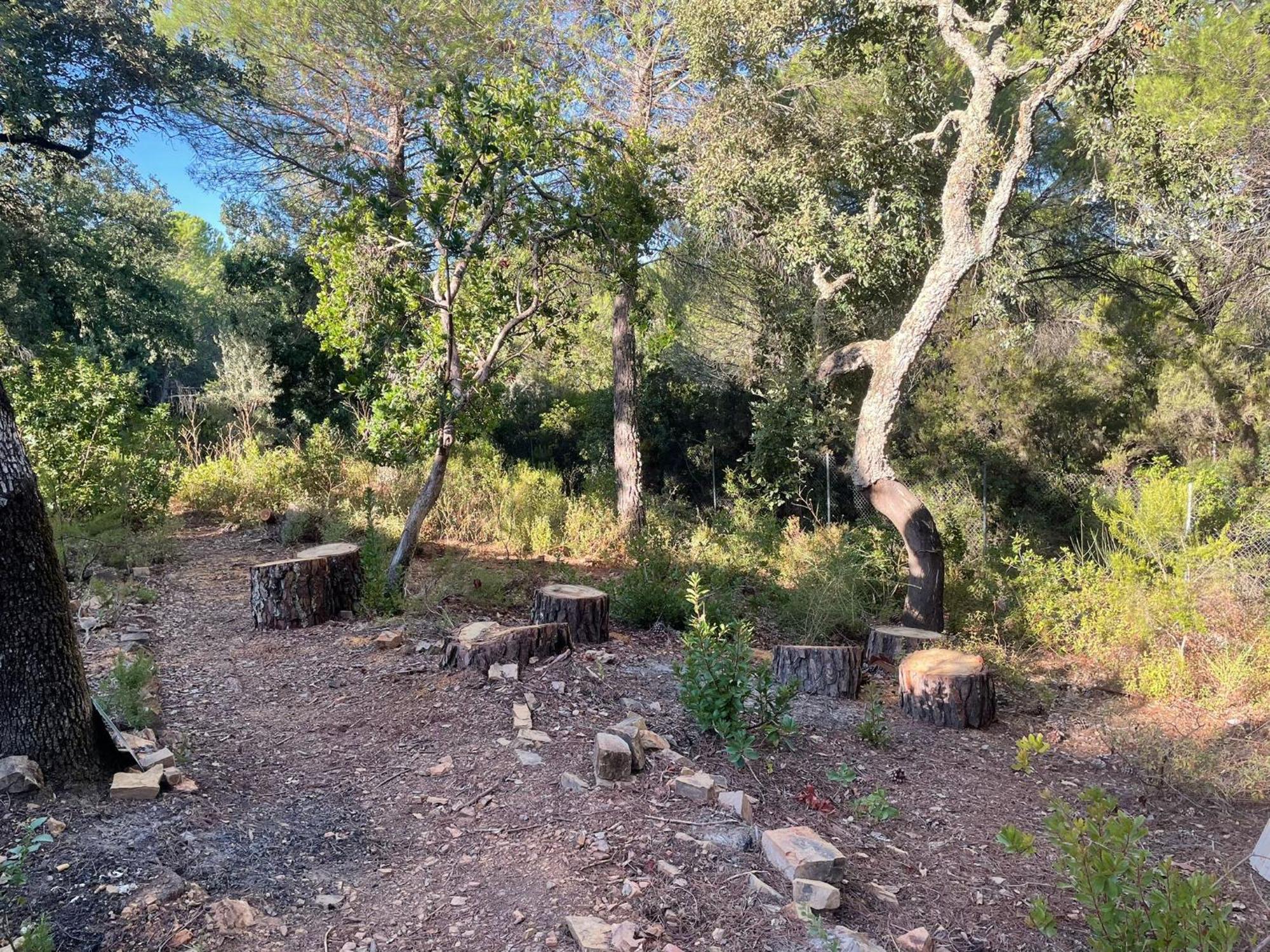 コルドバ Casa San Francisco De Asisヴィラ エクステリア 写真